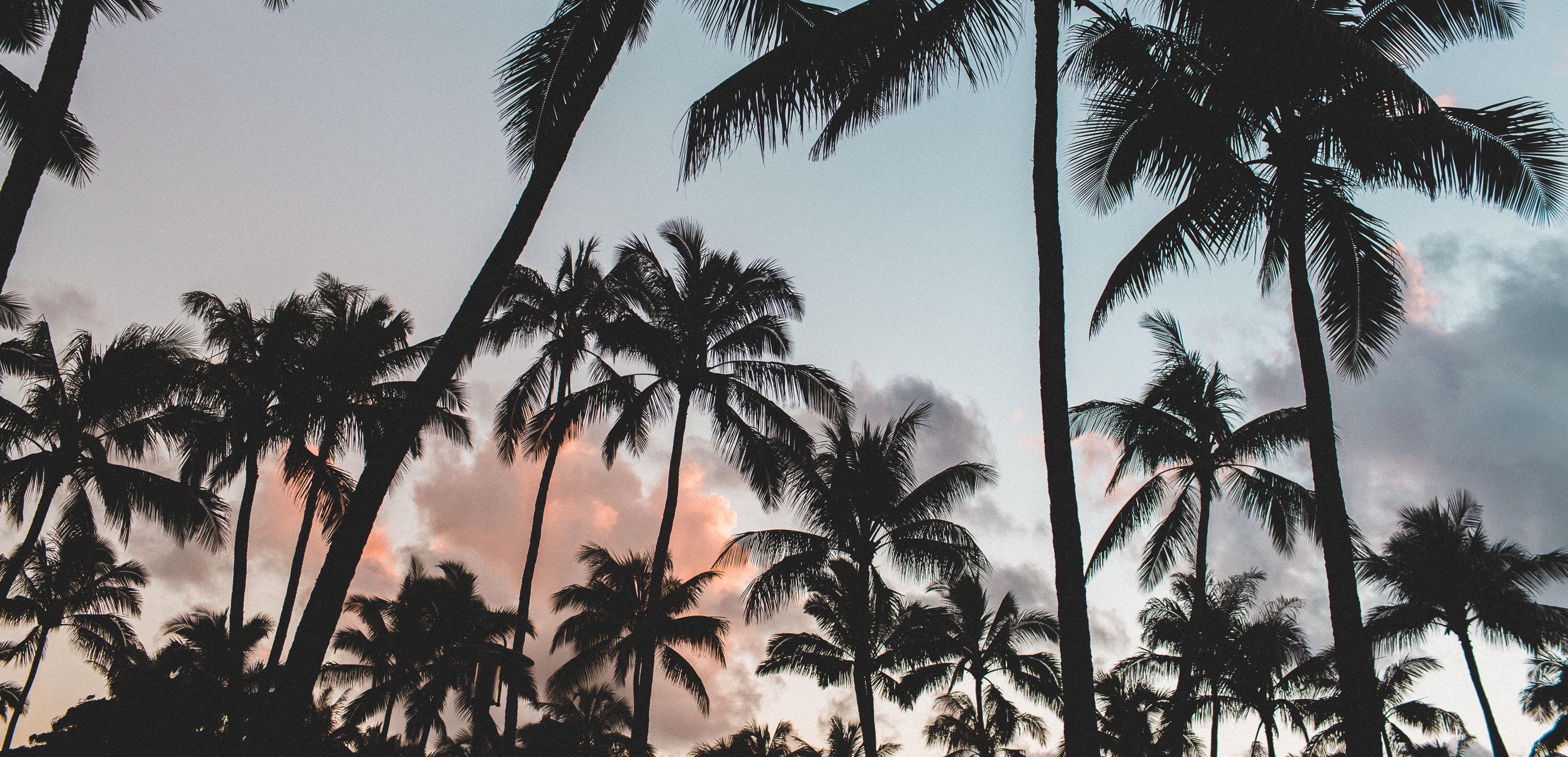 INTA 2016 – ACUMASS IN ORLANDO, FLORIDA!